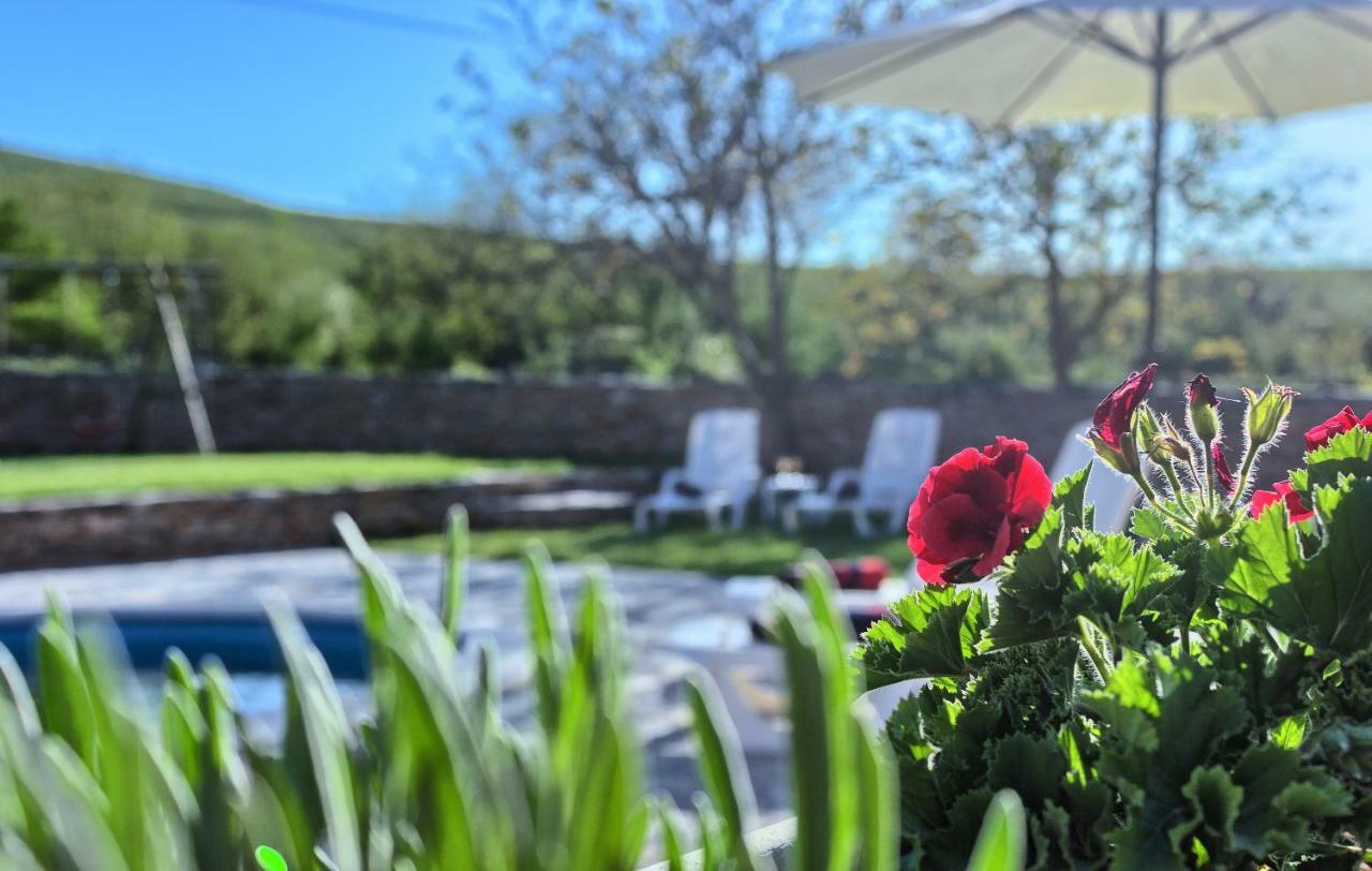 Dalmatia Stone House - Heated Pool Guest House Biorine ภายนอก รูปภาพ